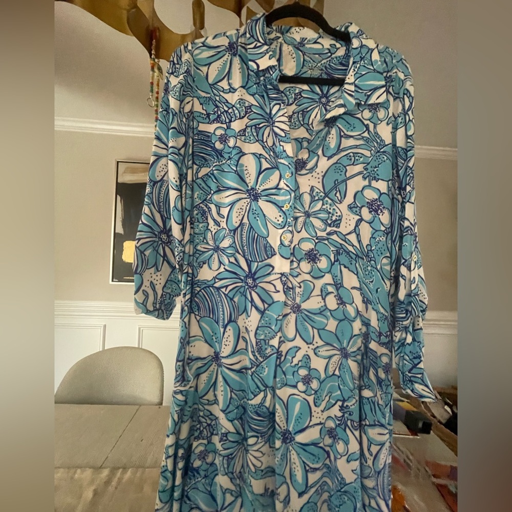 Lilly Pulitzer Lillith tunic dress